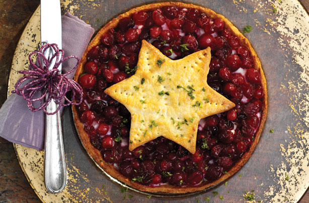 Christmas cranberry turkey pie
