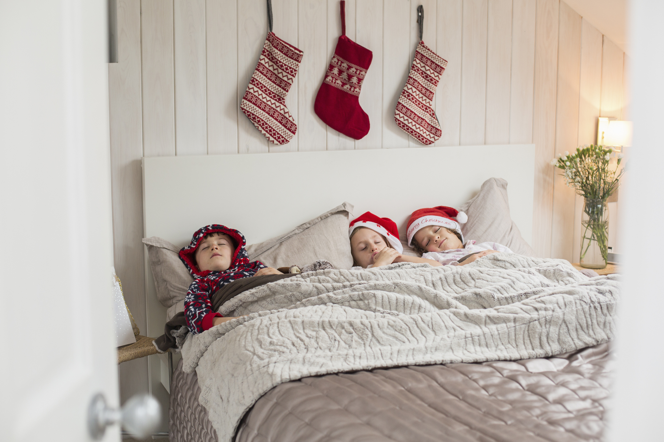 Elf surveillance spy camera
