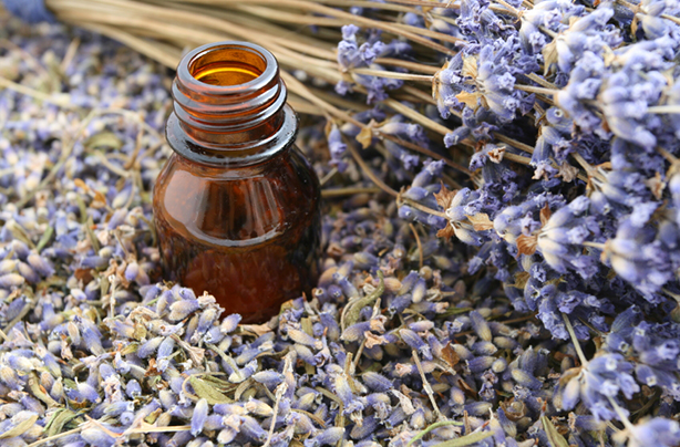 Natural remedies for anxiety lavender