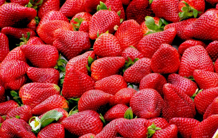 Low calorie snacks
