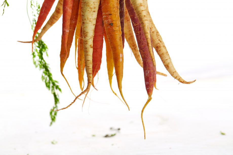Healthy juice recipes for Detox juices Juicing recipes carrot juice