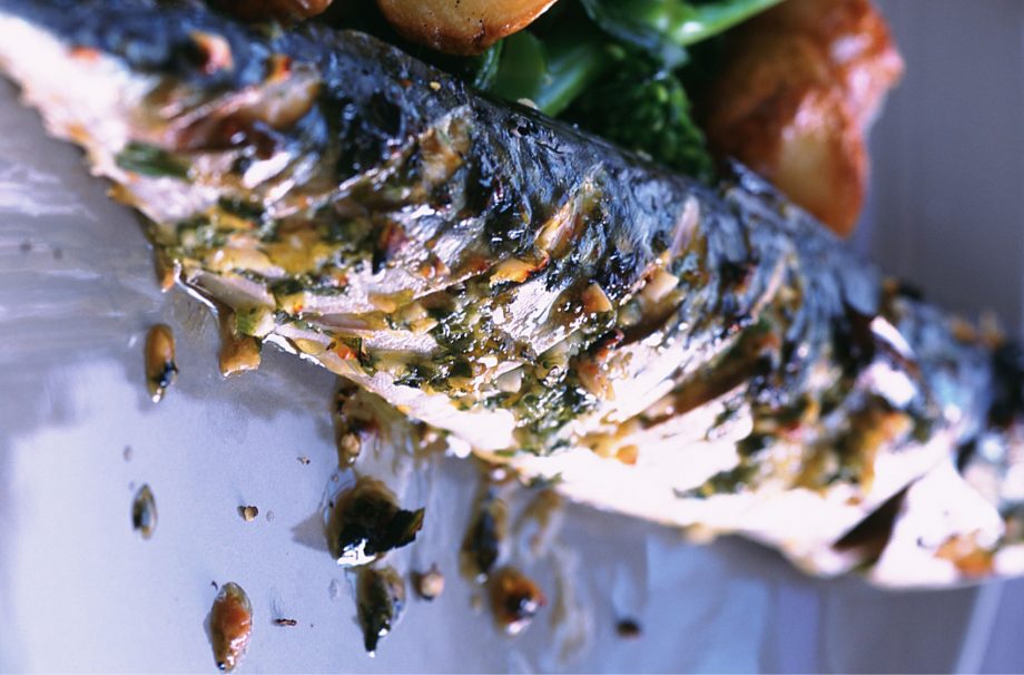 Grilled mackerel with chilli, orange, lemon and watercress