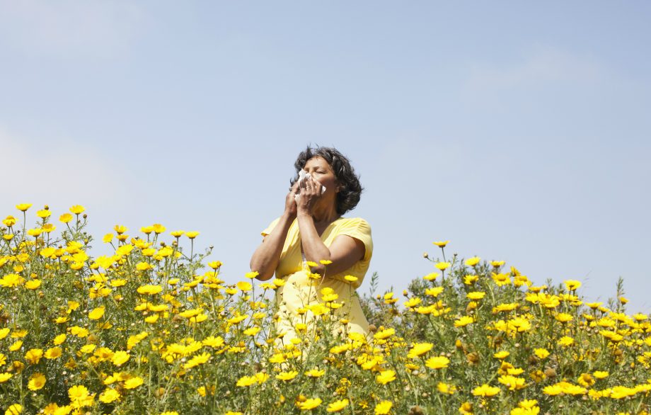 Natural hay fever remedies
