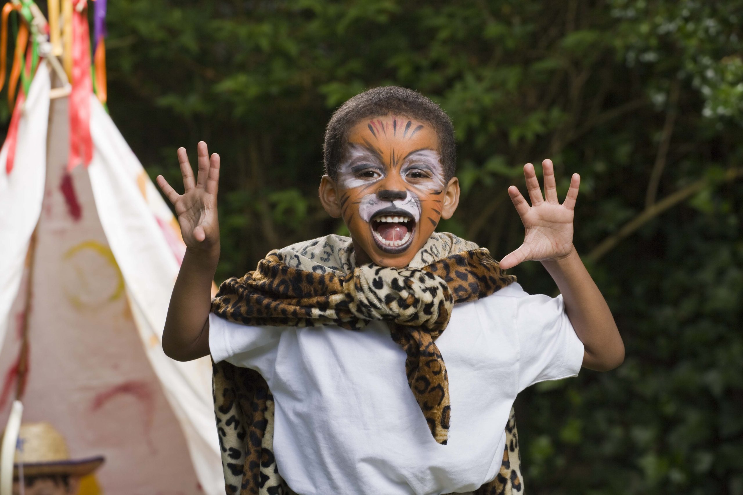 World Book Day ideas the tiger who came to tea