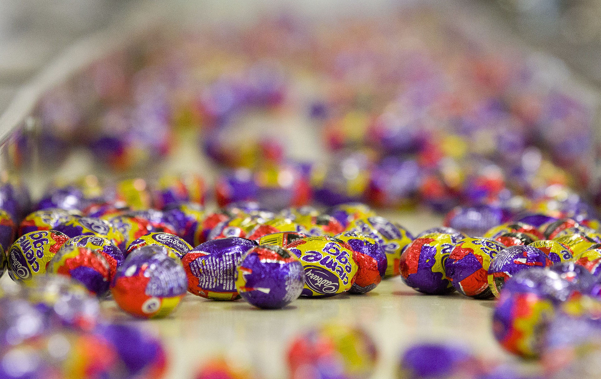 cadbury's white creme egg hunt
