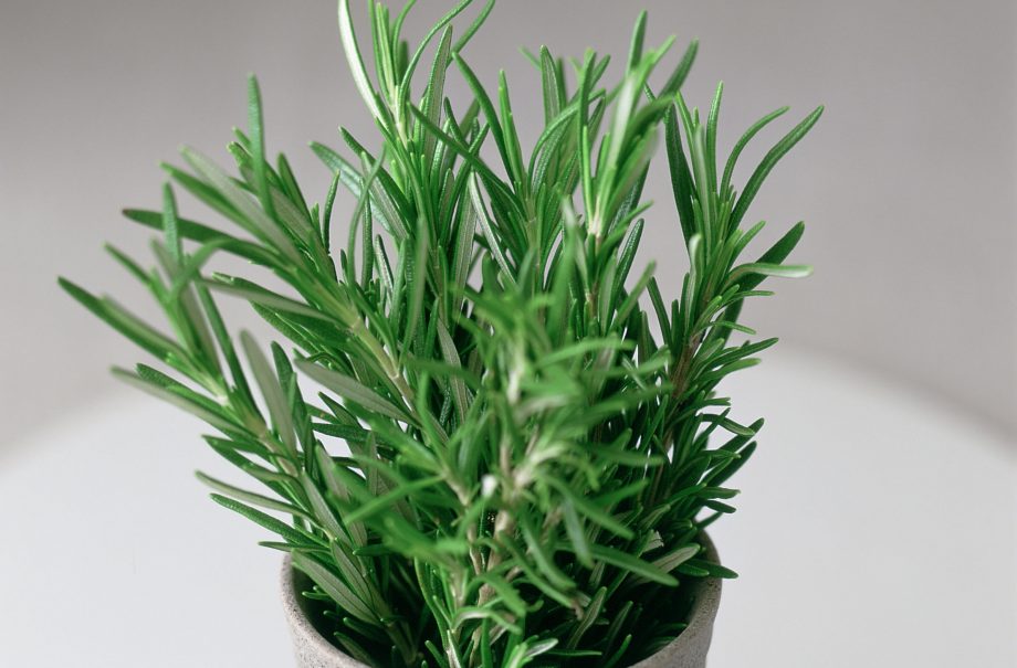 How to BBQ herbs