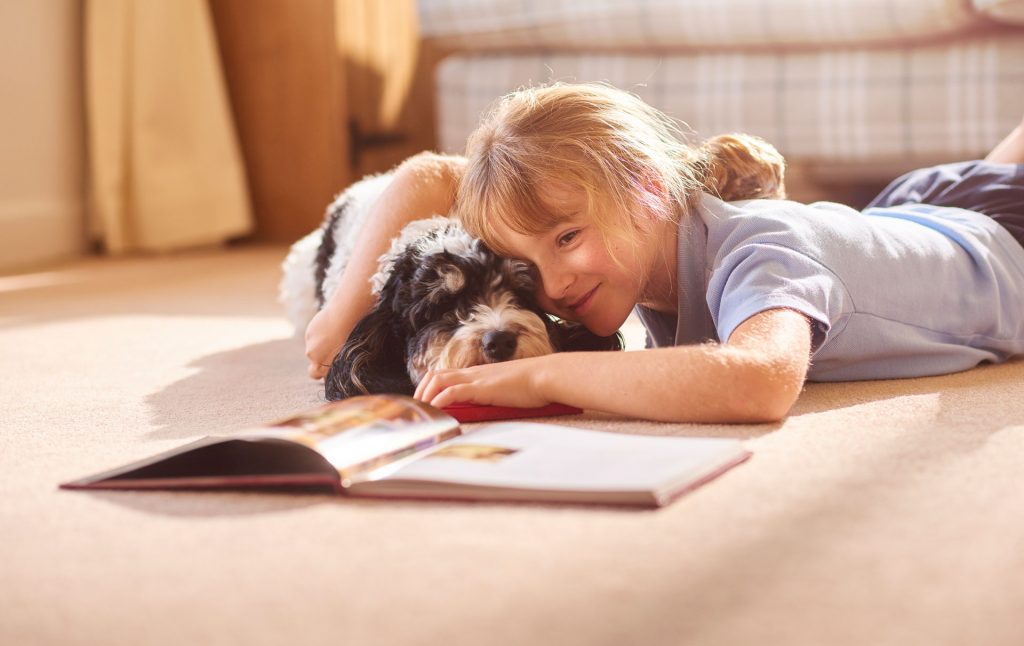 pet bereavement