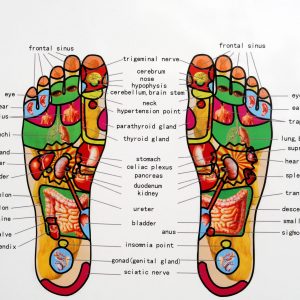 Illustration of reflexology points on the bottom of a pair of feet