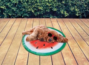 pet bed