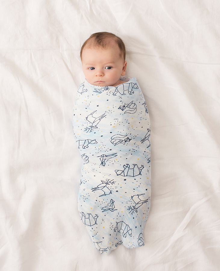 Stargaze Baby Swaddle Blanket