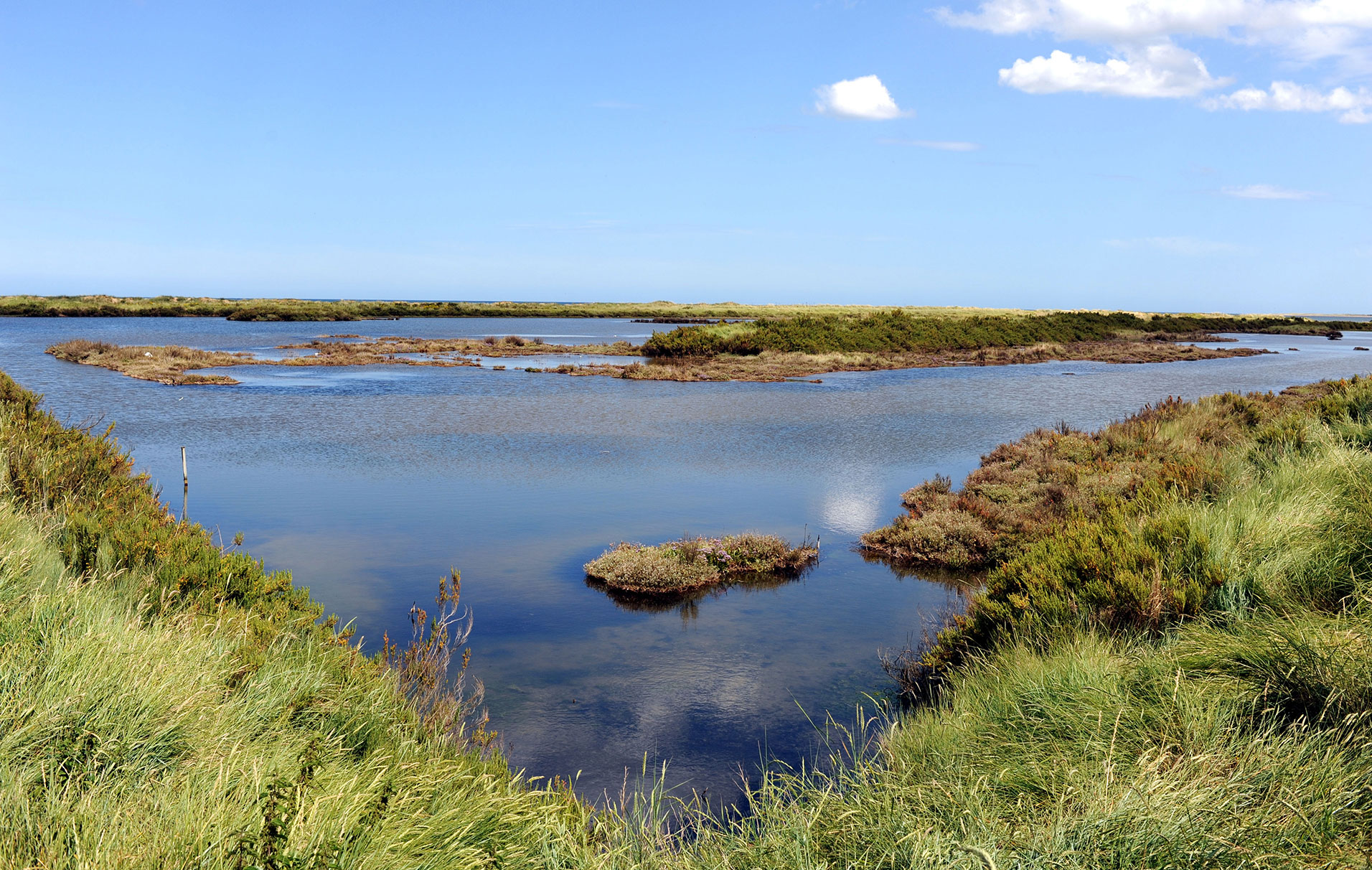 Titchwell marsh