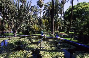 things to do in Marrakech