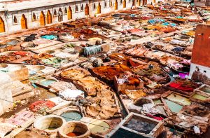 things to do in Marrakech