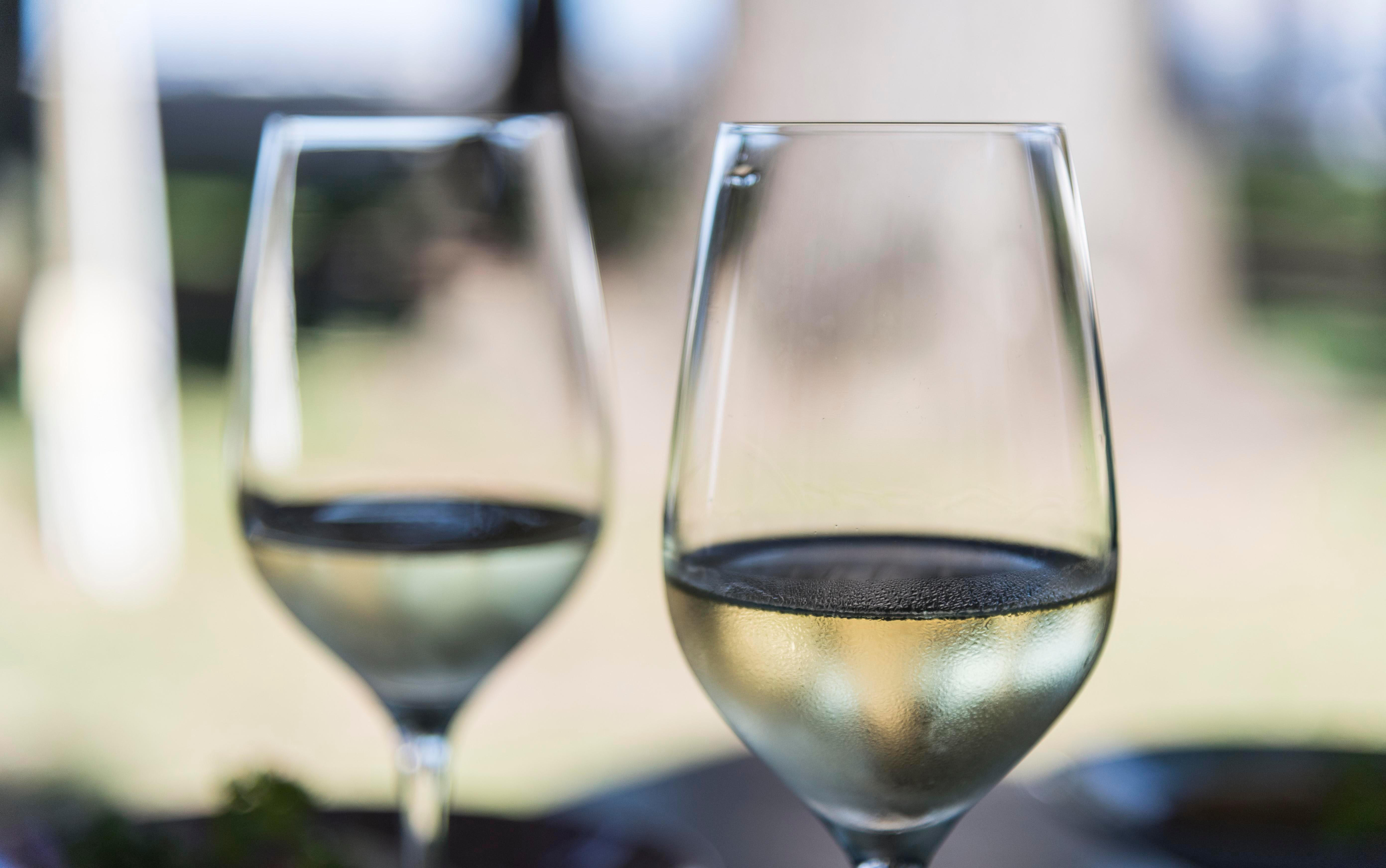 Glasses of wine