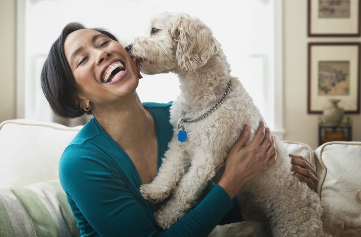 Work from home jobs 42 jobs you can do from home GoodtoKnow