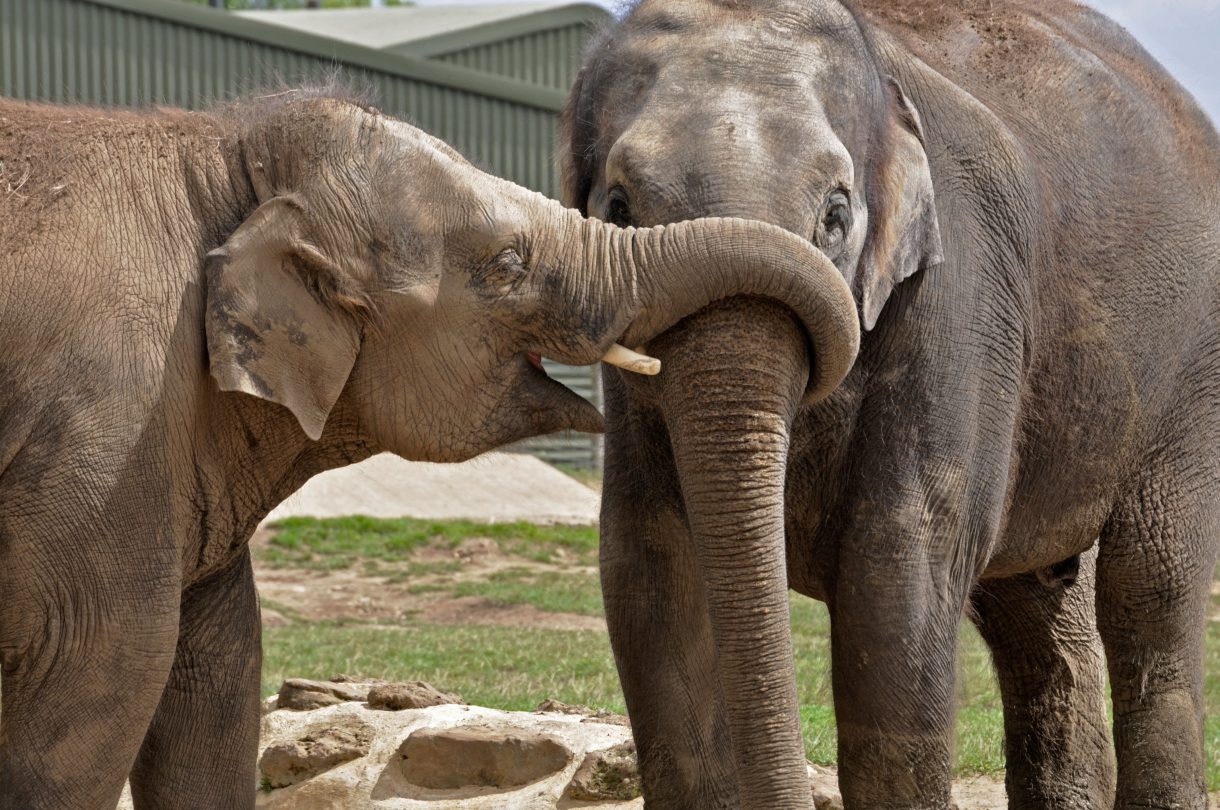 These are the BEST theme parks and zoos for kids to visit GoodtoKnow