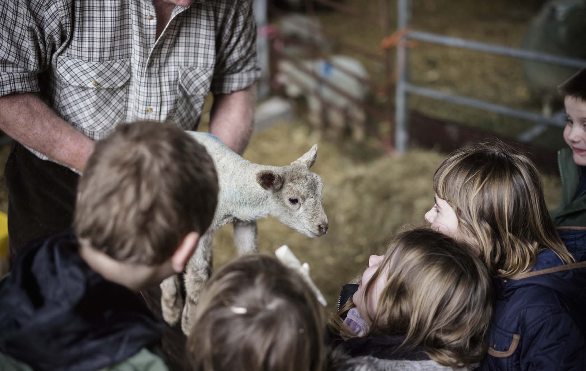 Things to do with kids