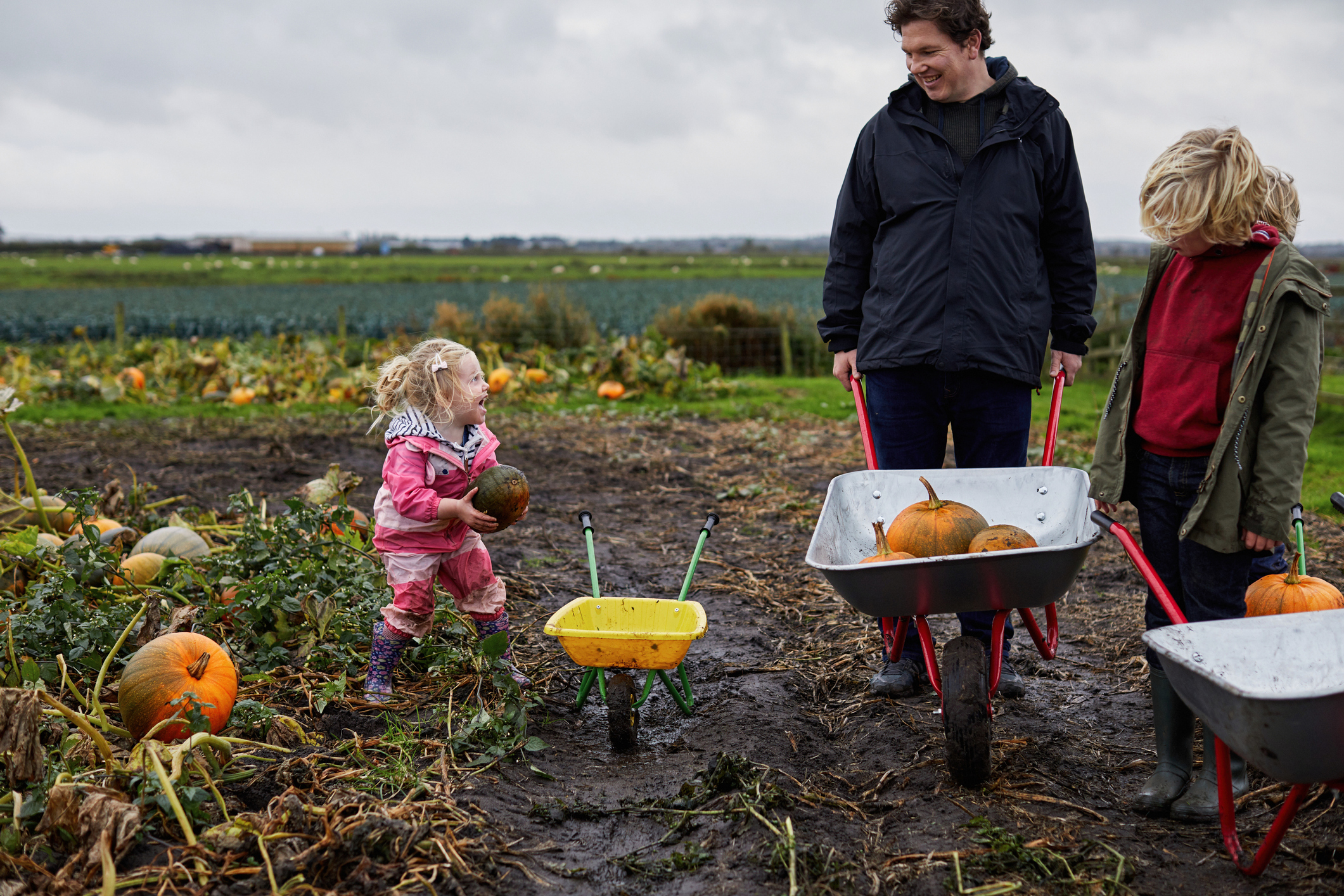 pumpkin picking