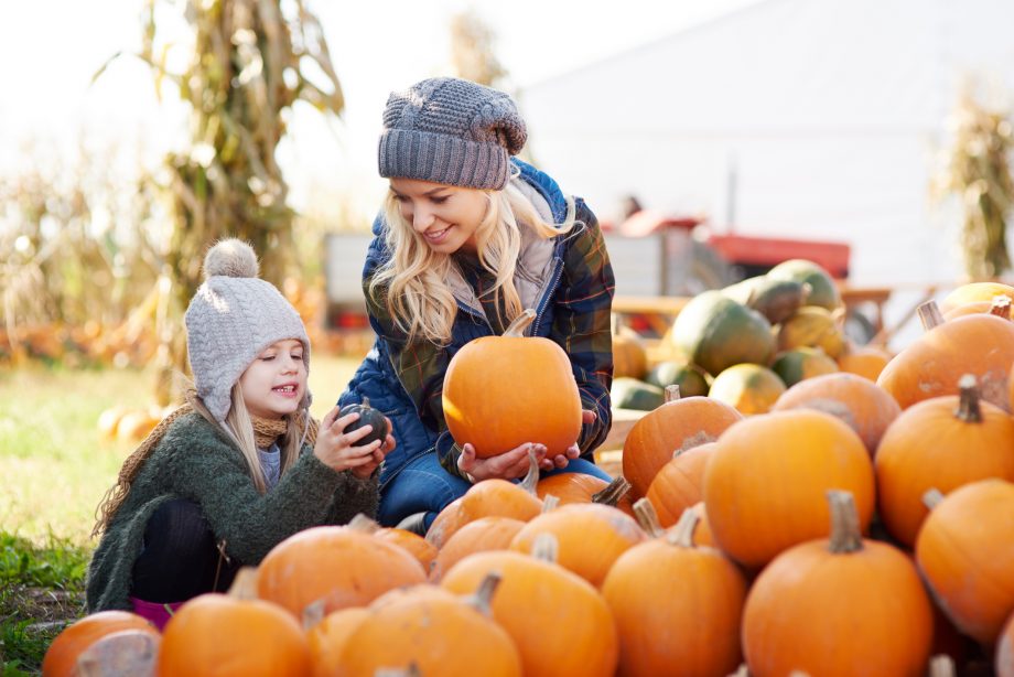 pumpkin picking