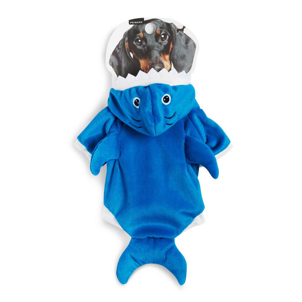dog clothes