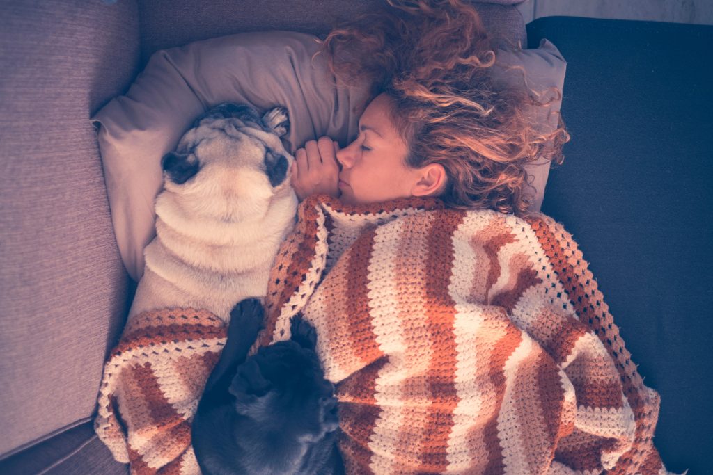 pets sleeping