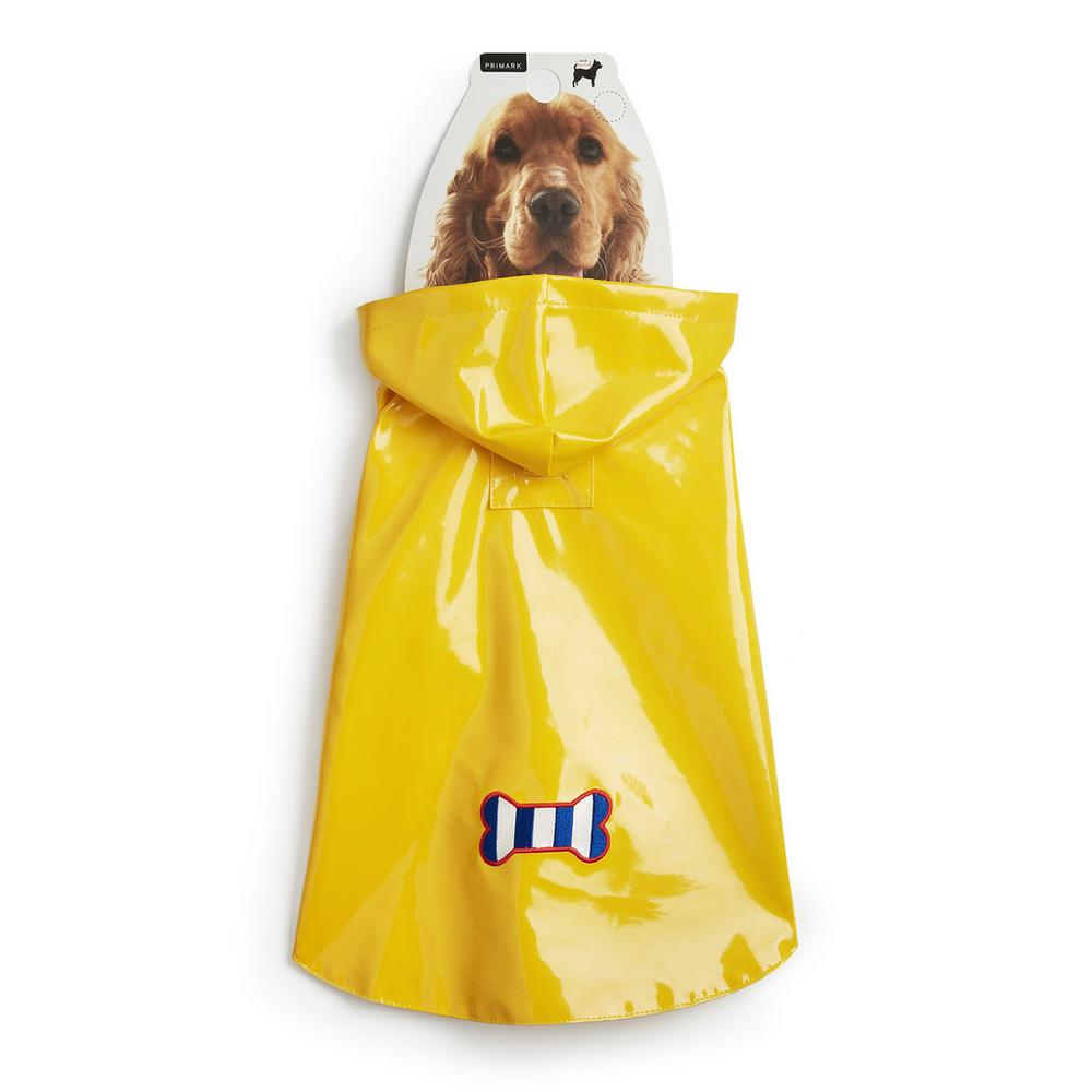 dog clothes