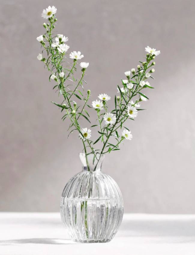 Mother's Day gifts