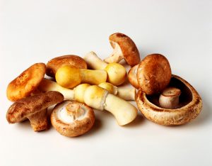 Happy Food