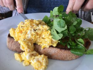 Everything you need to know about the humble egg
