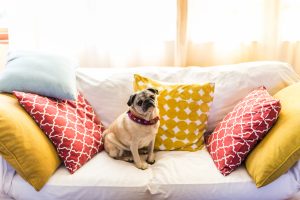 forgotten areas to clean: throw pillows
