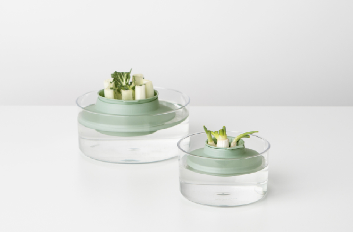 brabantia Regrow Kit