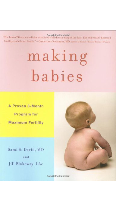 Making Babies book