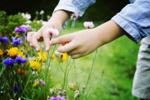 picking flowers
