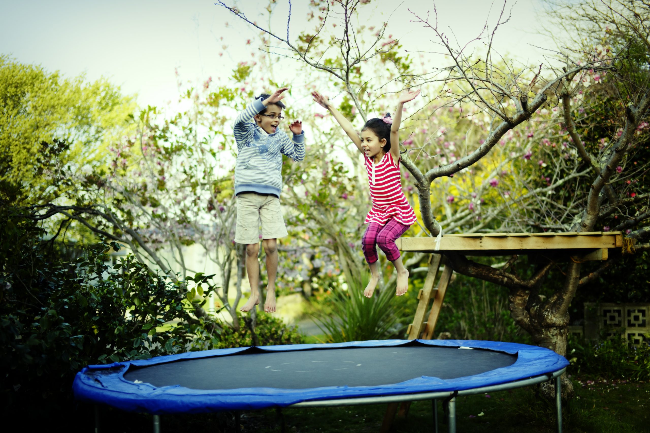 best trampolines