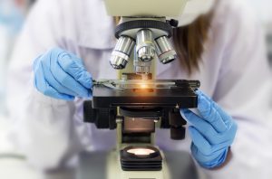 fertility study