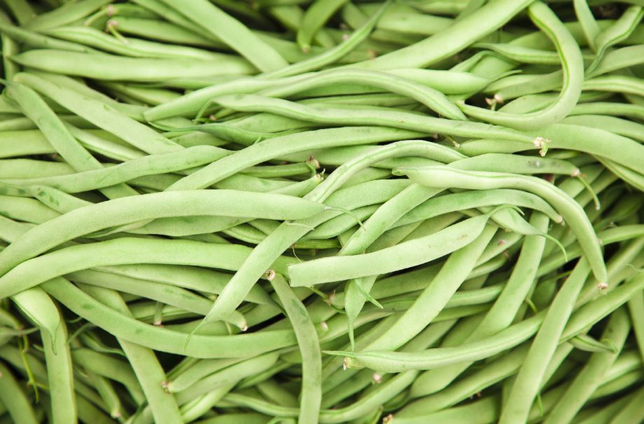 How to cook, prepare and freeze runner beans and our top recipe ideas