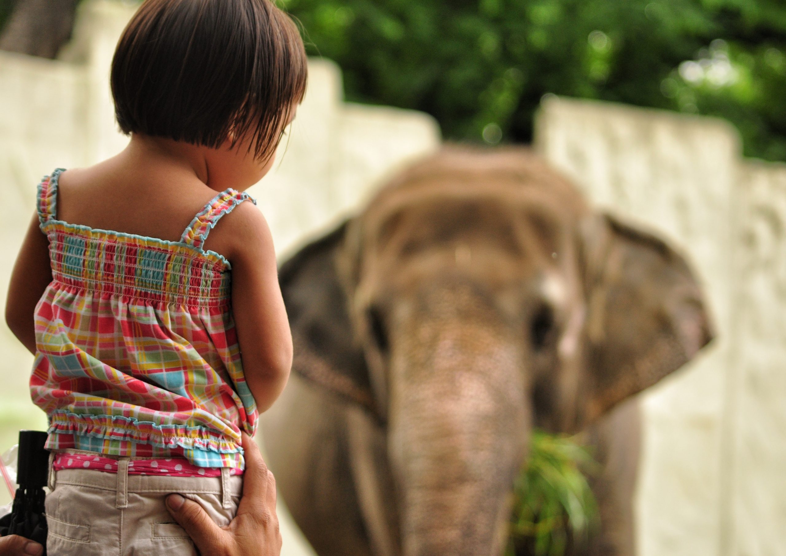 which zoos are open