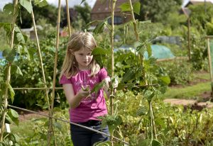 est plants to grow with kids