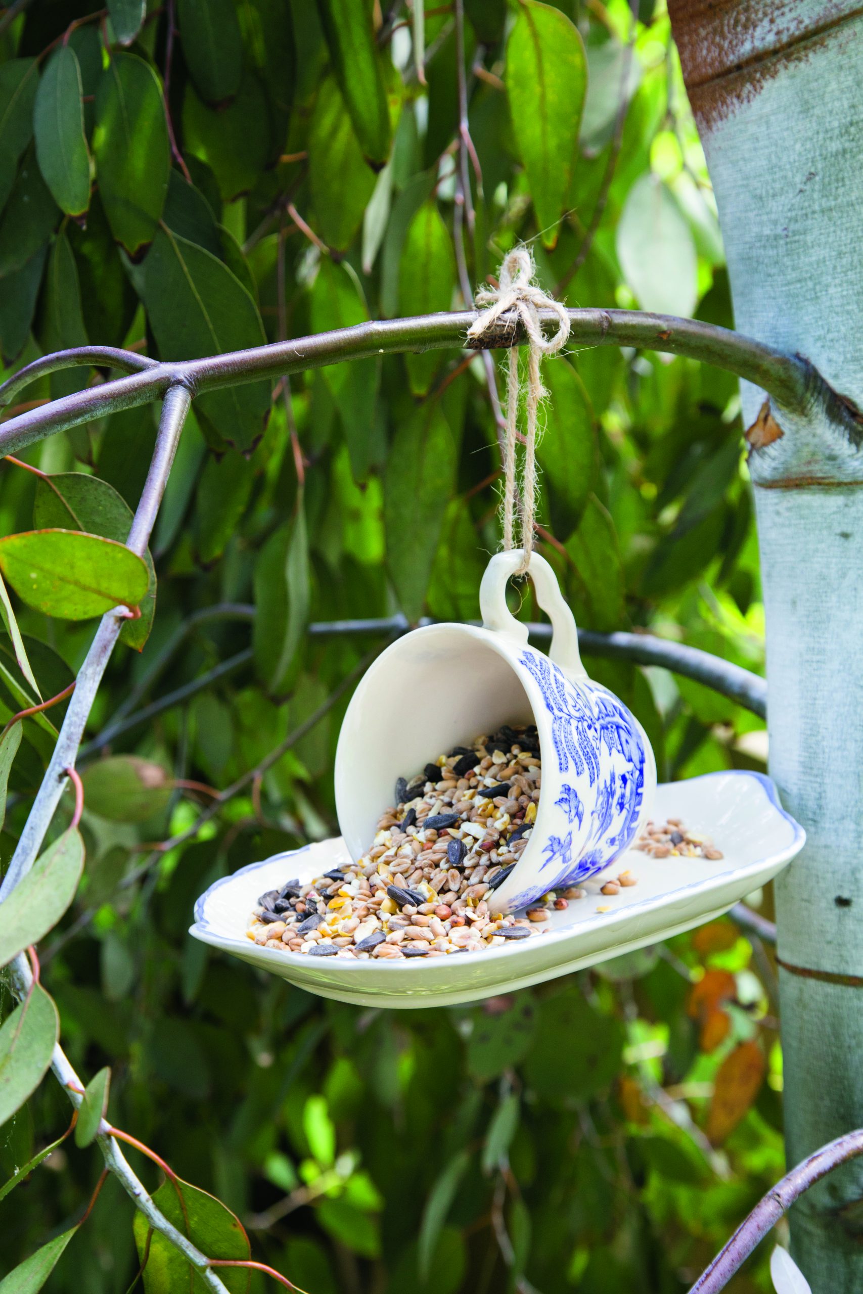 How to make a teacup bird feeder