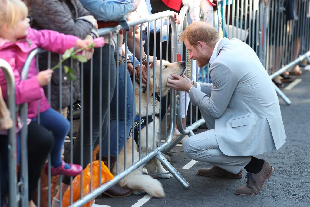 Prince Harry