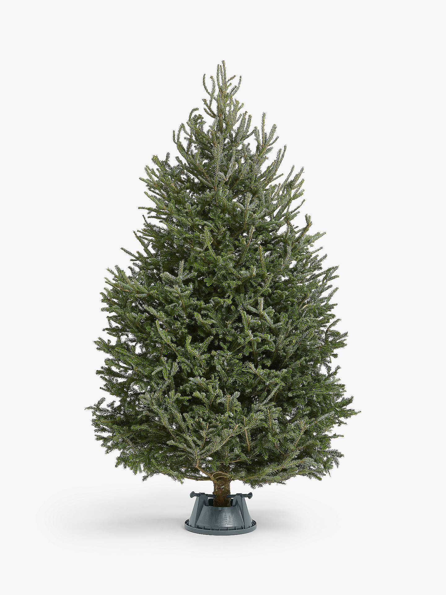 John Lewis real christmas tree 2020