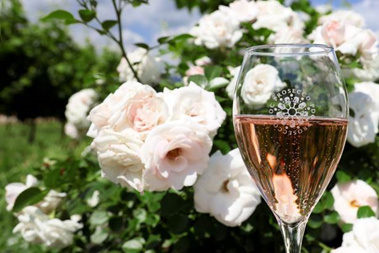 What is Pink Prosecco and where can you buy it? GoodtoKnow