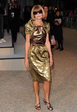 All The Dresses - Anna Wintour At The Burberry Spring Summer 2010 Catwalk Show - 35