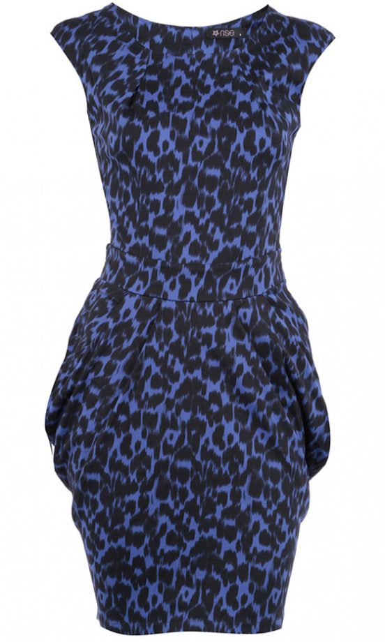 Dorothy Perkins Rise Blue Animal Pleat Dress, £25