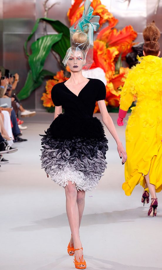 Christian Dior Haute Couture Fashion Show, 2010