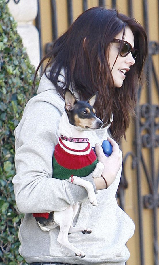Ashley Greene Takes Her Pet Pooch For A Walk In LA 2010