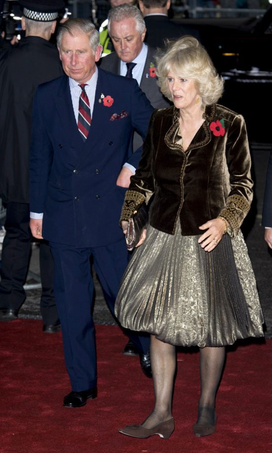 The Prince of Wales And The Duchess of Cornwall At The Pride Of Britain Awards 2010