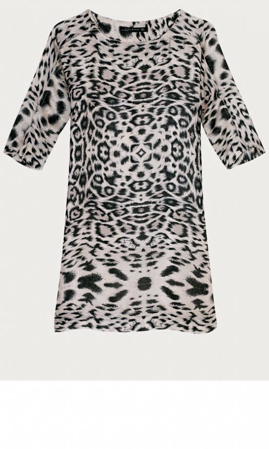 Zara Leopard Print Dress, £39.99 - In Stores Only