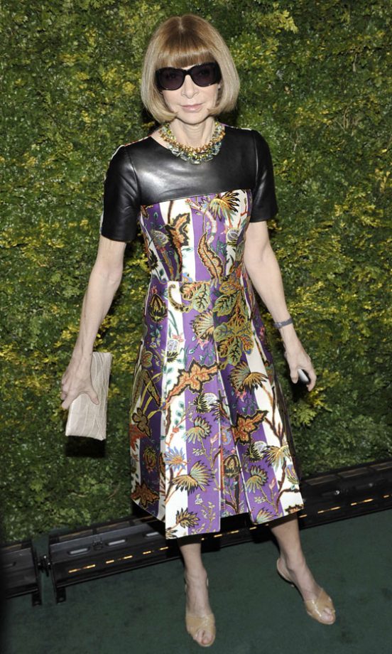 Anna Wintour At The Green Auction: A Bid To Save The Earth In New York, 2011