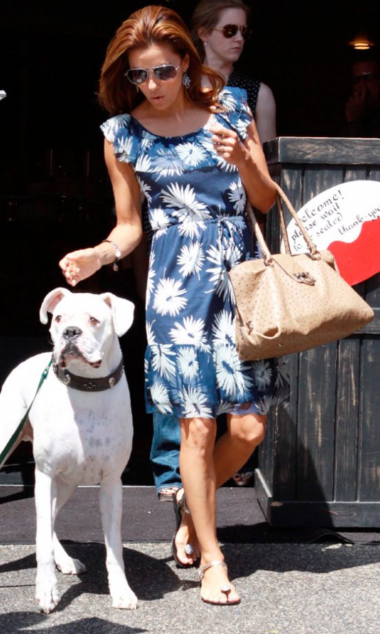 We Don't Know Who Looks More Surprised By His Presence, Eva Longoria Or The Dog! July 2010